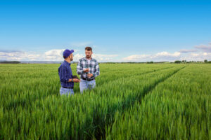 Lire la suite à propos de l’article BTSA Analyse, conduite et stratégie de l’entreprise agricole (ACS’AGRI)
