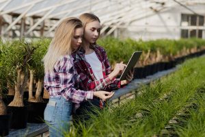 Lire la suite à propos de l’article BTSA Analyse, conduite et stratégie de l’entreprise agricole (ACS’AGRI)