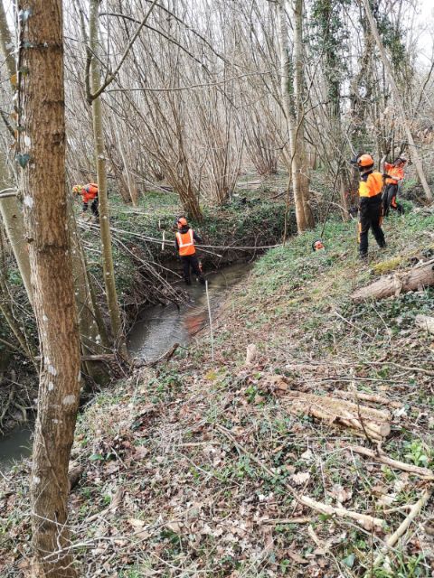 chantier forêt